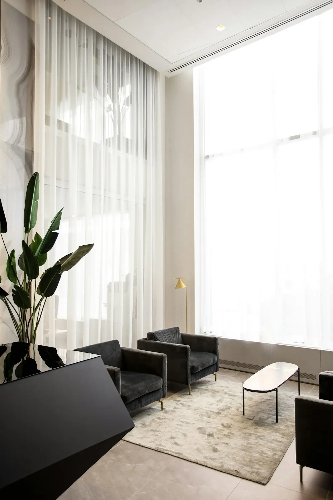 The Definitive Buying Guide to Living Room Essentials